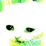 Profile Picture of john or whateva (@czech_dressing) on Instagram