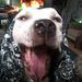 Profile Picture of Matthew Cormack (@matthewc26101) on Pinterest