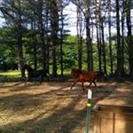 Profile Picture of Kevin Corson (@corsonkevin) on Instagram