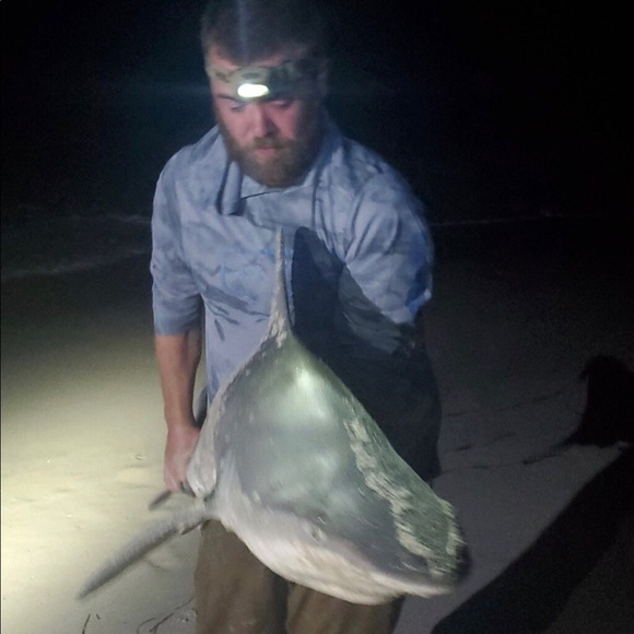 Profile Picture of Vin Sarli (@svtvin) on Poshmark