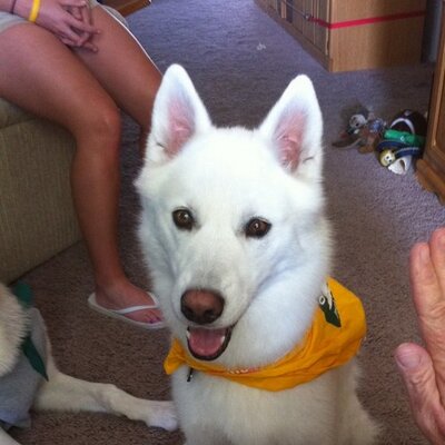 Profile Picture of John Sowell (@sowell27) on Twitter