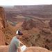 Profile Picture of Eric Oldroyd (@comuncentz) on Pinterest