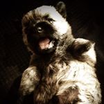 Profile Picture of David Steinert (@steinert8496) on Instagram