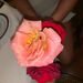 Profile Picture of Anisha Dasgupta (@anishadasgupta) on Pinterest