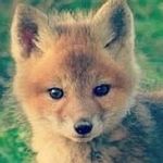 Profile Picture of Micah Adams (@r3al.adam5k) on Instagram