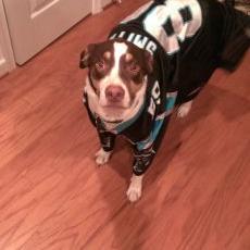 Profile Picture of James Sampson Dobbin (@jrdobbins62) on Twitter