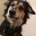 Profile Picture of Steven Cady (@steven.cady.9) on Facebook