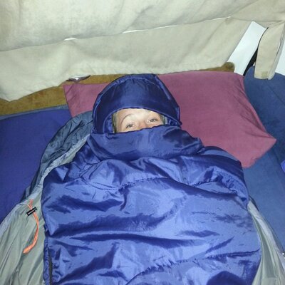 Profile Picture of Susan Hirsch (@hirsch_susan) on Twitter
