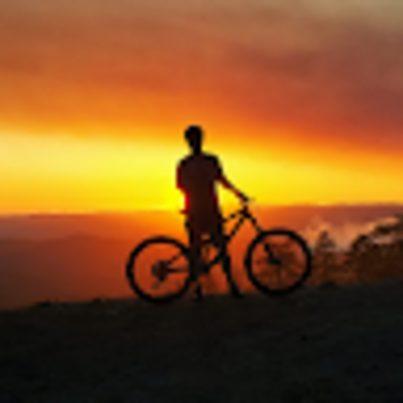 Profile Picture of Tyler Willson (@flaminturkey) on Poshmark