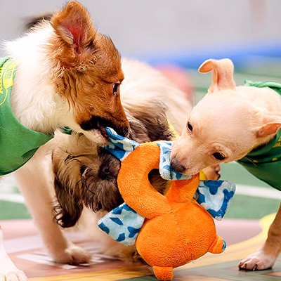 Profile Picture of Jiae Kim (@JiaeSprinklr) on Twitter