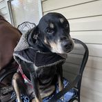 Profile Picture of Danny LaFontaine (@FatesHeadline) on Facebook