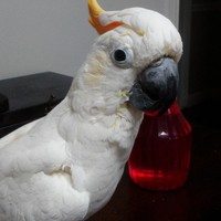 Profile Picture of David Corbett (@david-corbett-6) on Quora