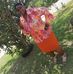 Profile Picture of Sheila Butts (@sheila.butts.982) on Facebook
