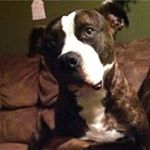 Profile Picture of Mark Geddis (@mgeddis8675) on Instagram