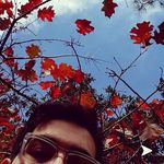 Profile Picture of Jason Schurr (@schurr_why_not) on Instagram