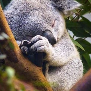 Amber Devries - Facebook Profile Picture of Amber Devries (@Amber-Devries) on Facebook