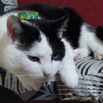 Profile Picture of kyle Fritsch (@fritsch.k) on Instagram