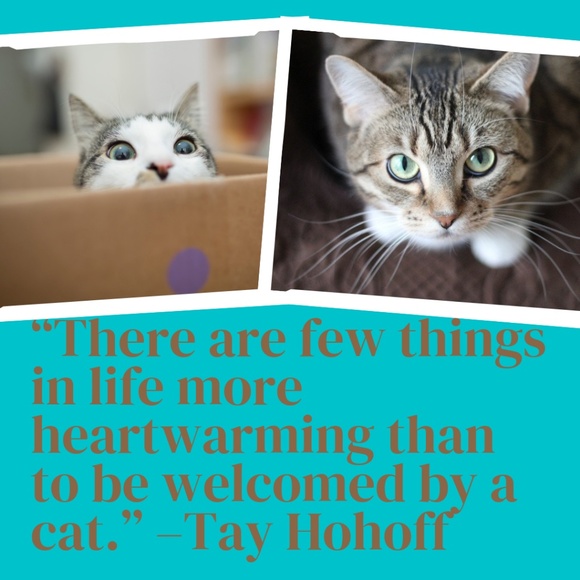 Profile Picture of Jennifer Ghormley (@georzy) on Poshmark