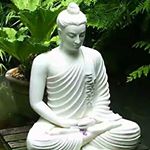 Profile Picture of Harendra Gupta (@harendra.gupta.566) on Instagram