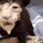 Profile Picture of Jack Pikula (@jackpikula5370) on Youtube