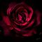 Profile Picture of Mostamandi Tamana (tamana) (@mostamandi.tanha) on Facebook