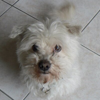 Mike Smits - Twitter Profile Picture of Mike Smits (@MikeS00XD) on Twitter