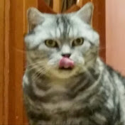 Profile Picture of Olga Tkachenko (@olgatkachenko4459) on Youtube