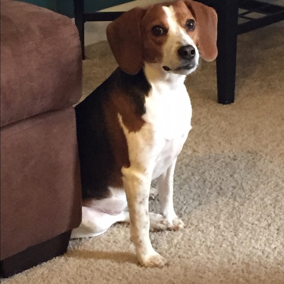 Profile Picture of Allison Fender (@afender91) on Poshmark