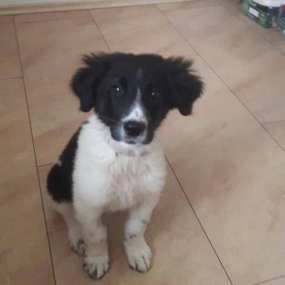 Profile Picture of Benjamin Hametner (@benjaminhametner) on Tiktok