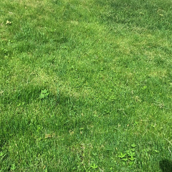 Profile Picture of Morgan Aasness (@morganaasness) on Poshmark