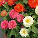 Profile Picture of alaa hatim Ibrahim (@ibrahimalaahatim) on Instagram