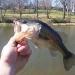 Profile Picture of Lynn Walling (@lynn.walling.37) on Instagram