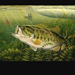 Profile Picture of Trevor Dane Davis (@bullrider12321) on Instagram