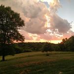 Profile Picture of Alice St.Clair (@view_from_the_hilltop) on Instagram