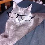 Profile Picture of Randy Massey (@randyman1819) on Instagram