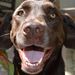 Profile Picture of Nala Joseph (@nala.joseph) on Facebook