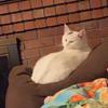 Profile Picture of Jordan Wicker (@@jordanwicker5) on Tiktok