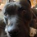 Profile Picture of George Pedro (@money4644) on Pinterest