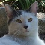 Profile Picture of Jeff Olivares (@jeff_olivares) on Instagram