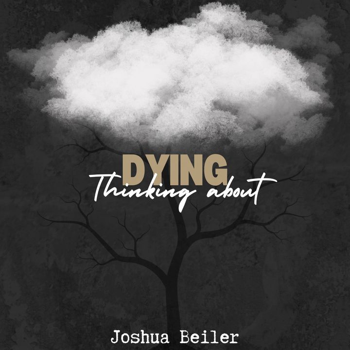 Profile Picture of Joshua Beiler (@joshua.beiler) on Tiktok