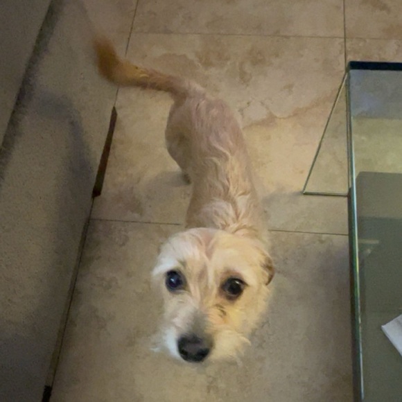 Profile Picture of Nicholas Levy (@b0untyhunt3r) on Poshmark