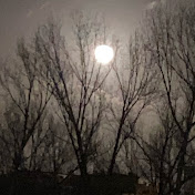 Profile Picture of Sunaina Ahmed (@sunainaahmed7709) on Youtube