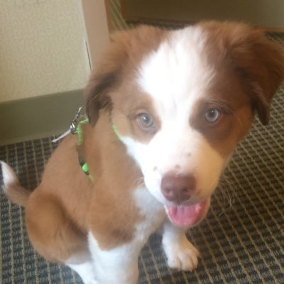 Profile Picture of Kyle Quintana (@kylequintana80) on Twitter