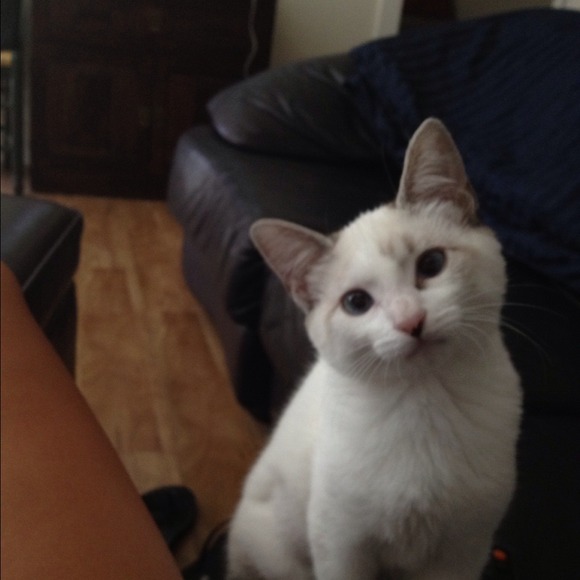 Tracy Chaskin - Poshmark Profile Picture of Tracy Chaskin (@tchas3131) on Poshmark