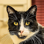 Profile Picture of Tony Teague (Slowcomo) (@Tony Teague (Slowcomo)) on Flickr