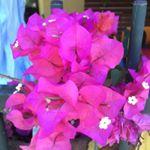 Profile Picture of Jan Irving (@jan_irving_) on Instagram