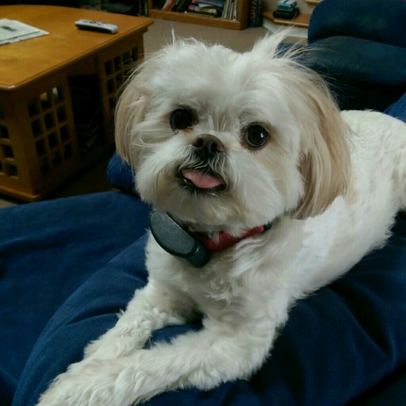 Profile Picture of Christine Ordemann (@ordemannc) on Poshmark