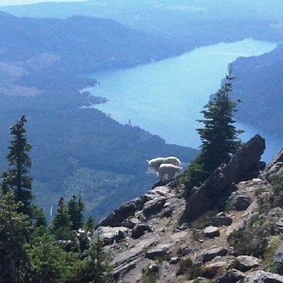 Profile Picture of Susan DeVore (@Devore72Susan) on Twitter