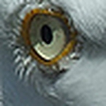 Profile Picture of Mark Caine (@markcaine) on Flickr