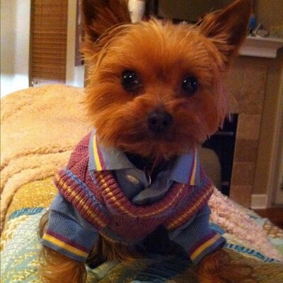 Profile Picture of Jared Knott (@jaredknott) on Twitter